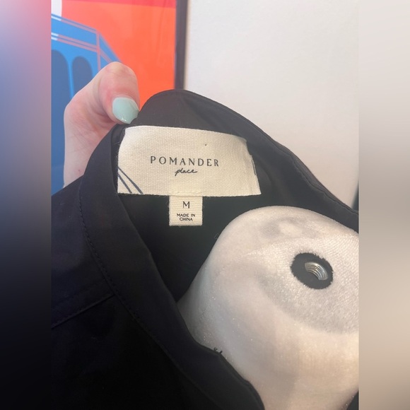 Pomander Place Roxanne Dress Black Medium - Picture 3 of 4